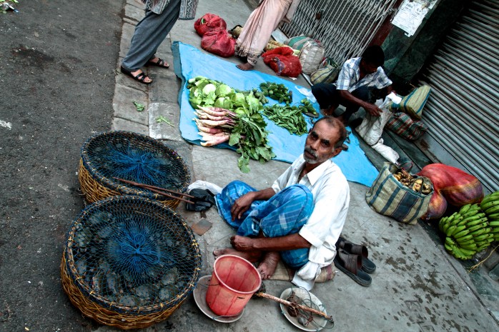 The crabs from Sundarbans