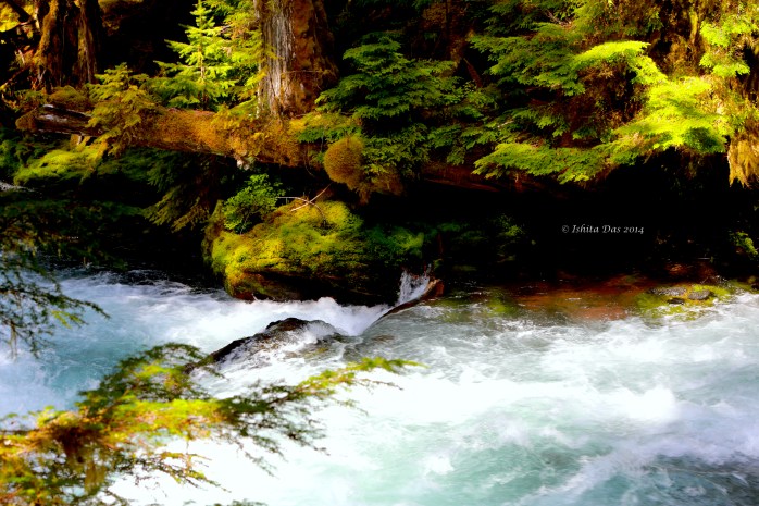 Sahalie waterfalls-Watermarked