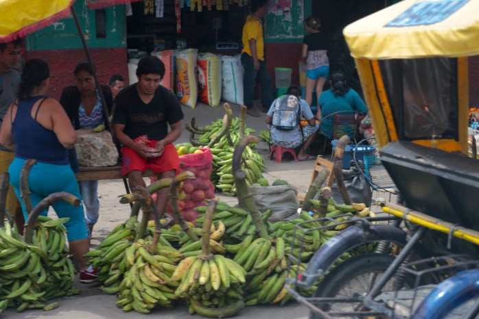 Open market: bananas, are only one type of food