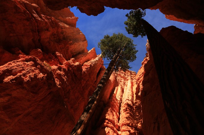 Wall street edge- Navajo Trail 