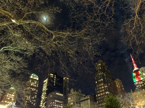 Bryant park and the Empire state