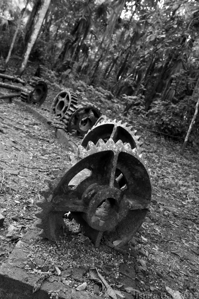 broken gears in the back-wm